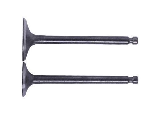 Клапани, к-т: 2 шт. - 186F - TTG
