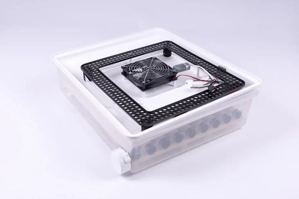 Инкубатор автоматический Птаха 64W (220/12в)