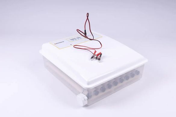 Инкубатор автоматический Птаха 64W (220/12в)