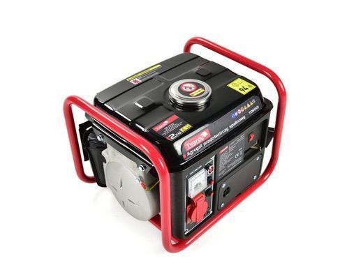 Генератор бензиновый Tvardy T05001