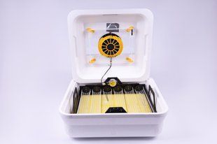Инкубатор автоматический Теплуша 88 ТА Тэновый